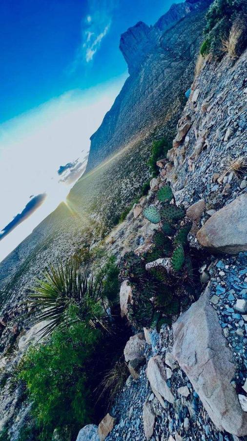 فيلا A Taste Of West Texas The Old Rock Shop فان هورن المظهر الخارجي الصورة